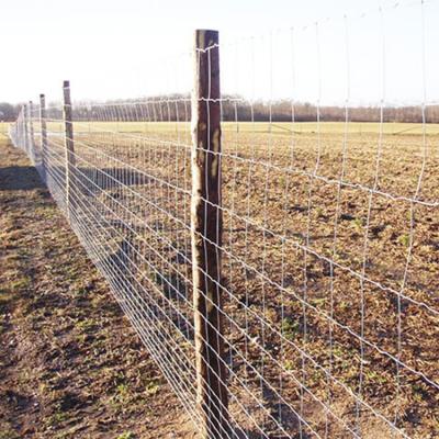 China Easily Assembled Galvanized Fence Hinge Joint Livestock Prevent Wire Mesh Grassland Field Fence for sale