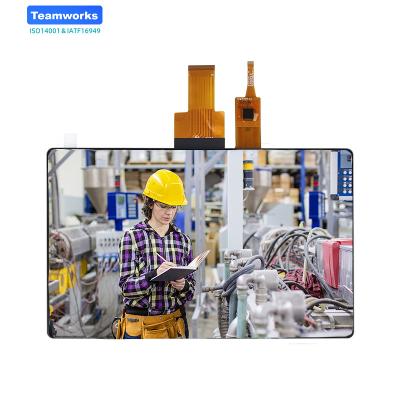 China Industrial Application Touch Screen High Resolution One Inch 1024*800 IPS+MIPI 7.0 Year Warranty OEM Tft LCD Display Screen Monitor 7 inches for sale