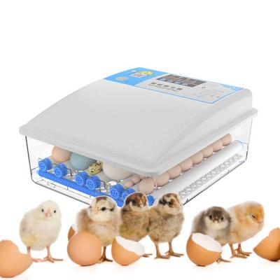 China Automatic And Multifunctional Chicken Hatchery Machine Egg Incubator For Sale for sale