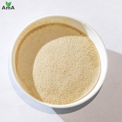 China Compound Amino Acid Powder 45% For Plants Foliar Spray Flushing Drip Irrigation for sale