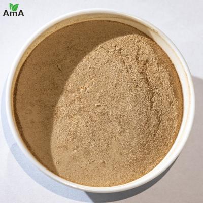 China Soy Bean Source Amino Acid Organic Fertilizer 40% Brown Powder For Organic Agriculture for sale