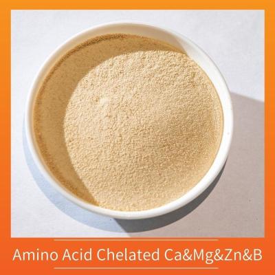 Cina Ca Mg Zn B Amino Acid Chelated Micronutrients Fertilizer Yellow Powder in vendita