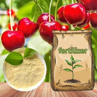 China Water Solubility Aminal Amino Acid Chelate Boron Organic Fertilizer For Field Crops for sale