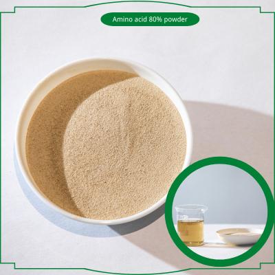 China Hydrolysate Animal Protein Based Amino Acid Powder 80% Agricultural Fertilizers for sale