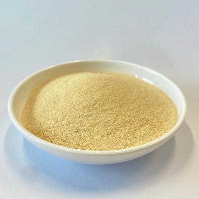 China Vegetal Amino Acid 52% Yellow Powder N 19 Amino Acid Fertilizer Powder For Fruits for sale