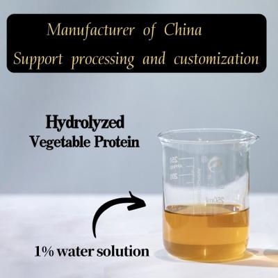 China Food Additive Hvp Hydrolyzed Vegetable Protein SOY PROTEIN Food Grade for sale