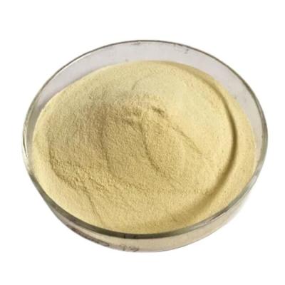 China Fish Protein Powder Enzyme Amino Acid High Protein Plant Organic Fertilizer for sale