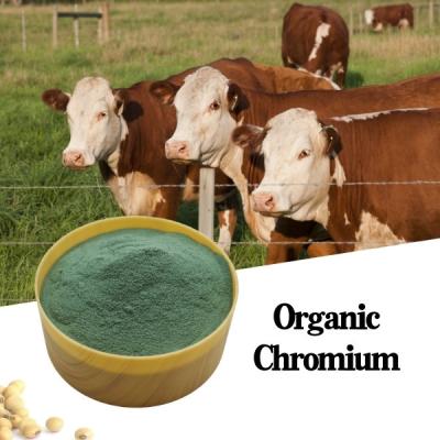 China 8% Chrominum Picolinate Organic Chromium Salt Animal Feed Additive for sale