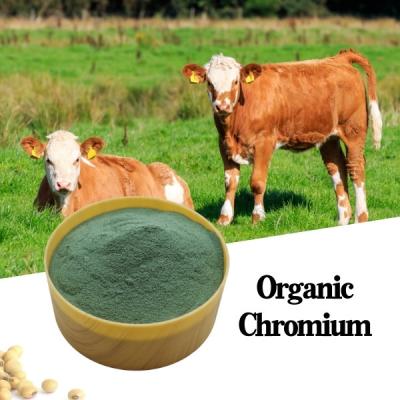 China 8% Chromium Amino Acid Organic Protein Animal Feed Additive Green Powder CAS7440-47-2 for sale