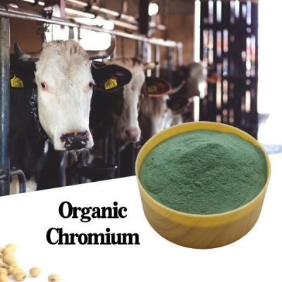 China 25% Amino Acid Chromium Picolinate Protein Chromium Feed Additive Improve Sow Litter Size for sale