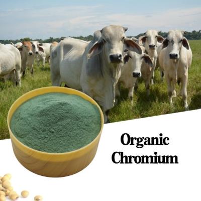 Chine 25% Amino Acid Protein Chelate Chromium Animal Feed Additive For Improving Production à vendre