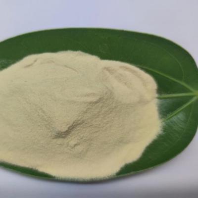 China 10% Total Nitrogen Powder Organic Fertilizer for Sustainable and Nutritious Agriculture for sale