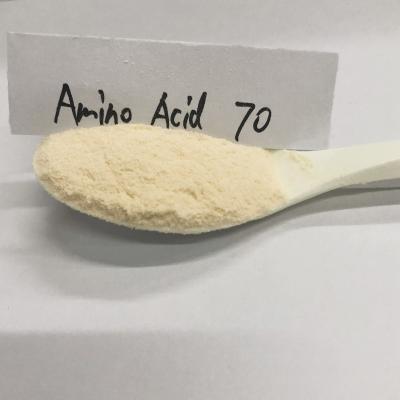 China Vegetal Origin 70% Amino Acid Organic Fertilizer In Powder Form for sale