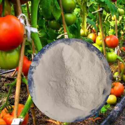 China PH7-9 Fulvic Humic Acid Amino Acid Powder Fertilizer 52% 65072-01-7 for sale