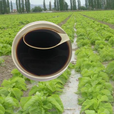 China Soybean Source Hydrolysate Protein Amino Acid Liquid 30% Agricultural Fertilizer for sale