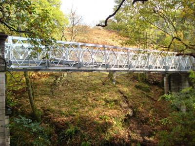 China Prefabricated Steel Truss Bridge Galvanized CB321 DSR Bailey Bridge With Steel Deck for sale