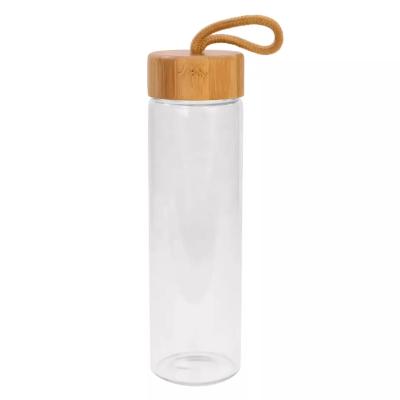 China Viable Water Bottle Free Water Bottle Bpa Glass Drinking Water Bottle for sale