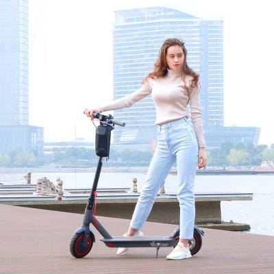 China Good Quality Unisex Dual Motor Electric Scooter 36V 350W E Electric Scooter Price Shipping From Eu Warehouse for sale