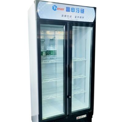 China Upright Absorption 2 Door Commercial Beverage Display Refrigerator Display Cabinet for sale