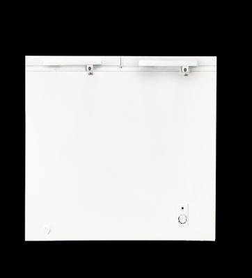 China Defrost Chinese Type Factory Chest Freezer Double Door Chest Freezer 300L for sale