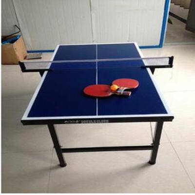 China Custom Mini Ping Pong Soprts Ping Pong Table for sale