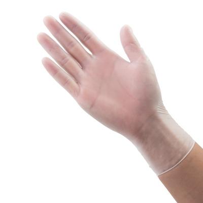 China Oil Resistant Transparent Disposable Gloves , Disposable Lab Gloves Weight 4.5g for sale