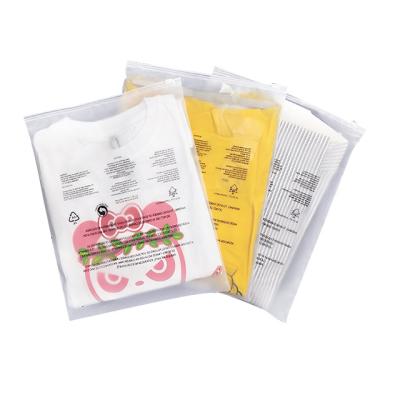 China Custom Printing PE Eco Friendly Sustainable Waterproof Clear Swimwear Moisture Proof Frosted Plastic Clothing Ziplock Bag PVC Zipper Packaging Bag for sale