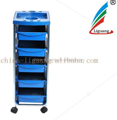 China fashionable & high quality professional portable hair cart for sale