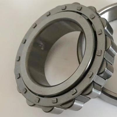 China Factory Reducer Gear Bearings Cage Guided Cylindrical Roller Bearing RN219E, RN219M Used For Gearbox for sale