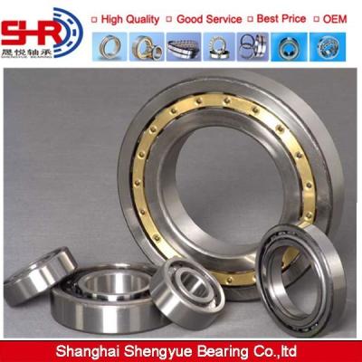 China Hot sale and high precision cylindrical roller bearing SL18 3008 40 mm for sale