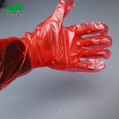 China LDPE EVA Plus Hot selling long sleeve red gloves pe LDPE veterinary gloves for medical for sale