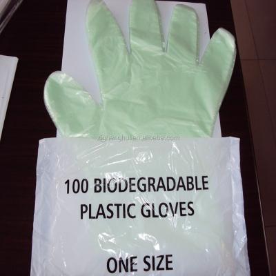 China Biodegradable Pe Green Biodegradable Clear Plastic Disposable Gloves for sale