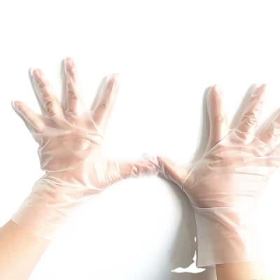 China Household work available high quality gloves disposable touchntuff transparent PE band plastic gloves for food service for sale