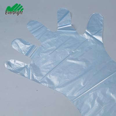 China LDPE EVA Plus 50cm, 70cm, 90cm Long Veterinary LDPE Glove Disposable Pe Arm Gloves Transparent for sale