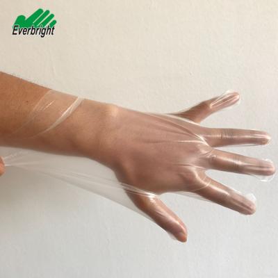 China Biodegradable Wholesale HDPE LDPE Cpe Tape Protective Glove Biodegradable Disposable Gloves for sale