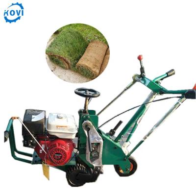 China Lawn Harvester Gasoline Grass Cutter For Lawn Grass Cutting Machine for sale