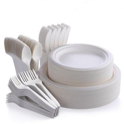 China Audit ISO 9001 Certified Disposable Plates and Cutlery for Sustainable Celebrations for sale