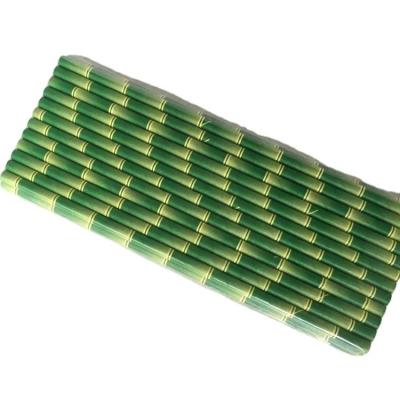 China Everyday Bamboo Ecologic Paper Straw Package for Sustainable Living Alternatives for sale