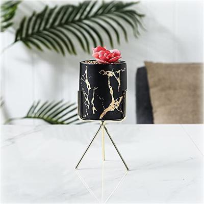 China Container Occasional Marble Drainage With Gold Stand Decoration Indoor Home Garden Bonsai Plants, Ceramic Flower Plants Pots for sale