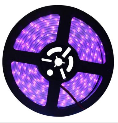 China Other Purple LED Light With UV Lamp Belt 2835 5050 Purple Bar Light Strip 12v395-400nm Led Light for sale