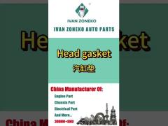 Ivan Zoneko-Cylinder Head Gasket