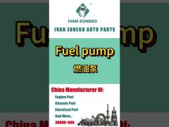 Ivan Zoneko-Fuel Pump