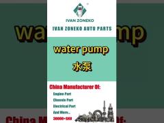 Ivan Zoneko-Water Pump