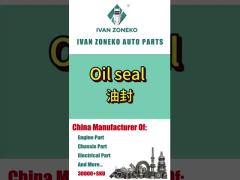 Ivan Zoneko-Oil Seal