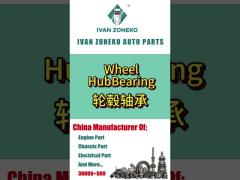 Ivan Zoneko-Wheel Hub Bearing