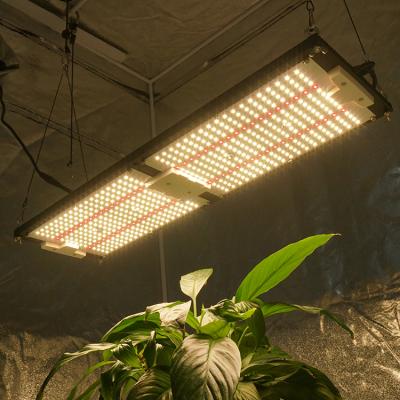 China Seed Starting 2021 Far Red Dimmable Full Spectrum 240w Led Board Indoor Grow Light Samsung lm301h 301b for sale