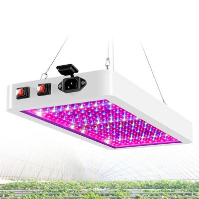 China Seed Starting LED Grow Light 2000 Full Spectrum Phytolamp 2835 LED Chip Phyto Growth Lamp 265V Waterproof Plant Lighting For Indoor Plant for sale