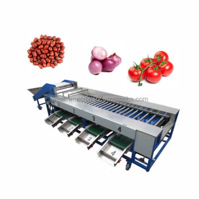 China Automatic Hotels Fruit Vegetable Garlic Carrot Cucumber Grading Machine For Size Sorting for sale