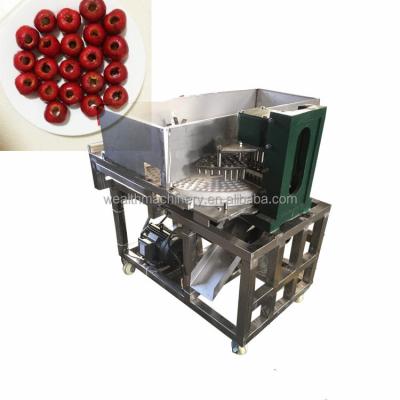 China Hotels .cheap industrial automatic red dates quilting machine small date palm machine for sale for sale