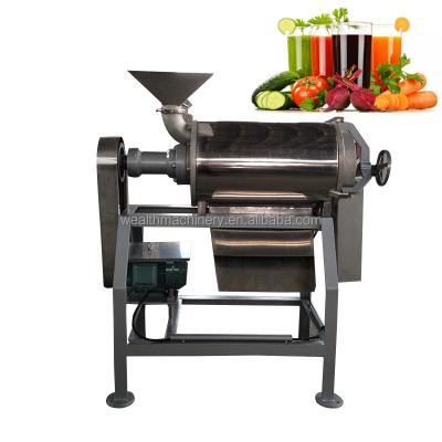 China Hotels Single Channel Pomegranate Beating Machine Mango Apple Grape Crush Juicer Machine for sale